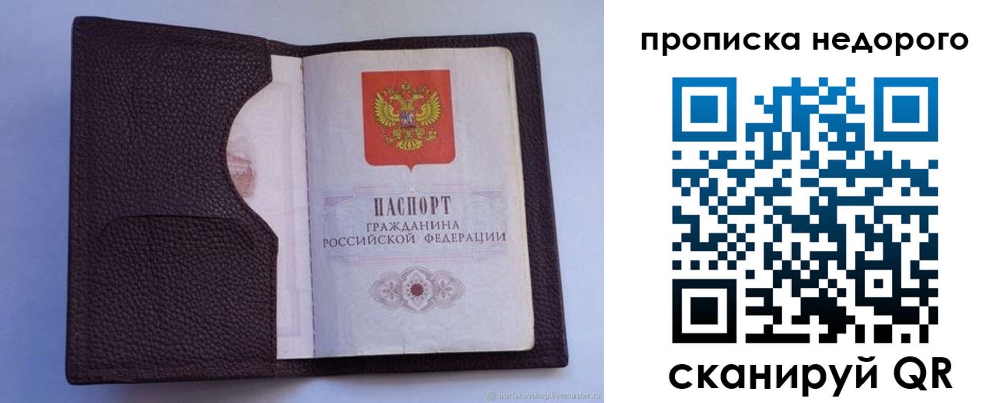 прописка законно в Новороссийске